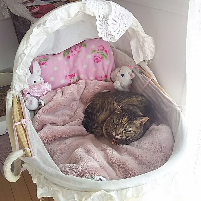 sakuraさんの実例写真