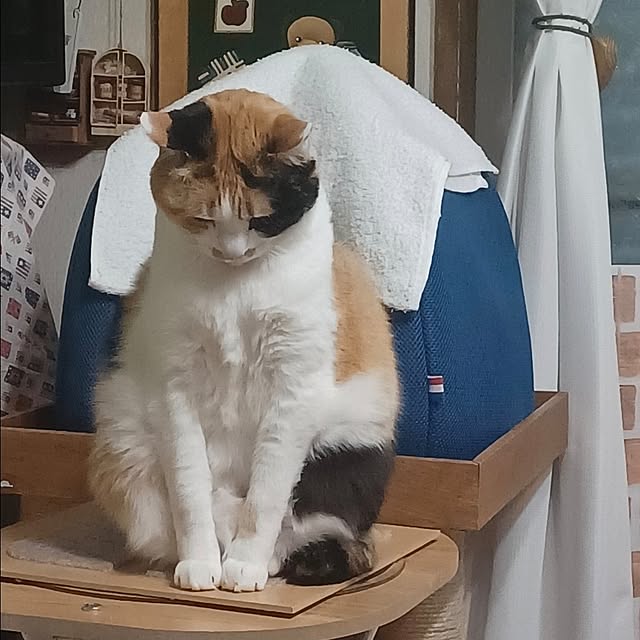 nanaさんの部屋