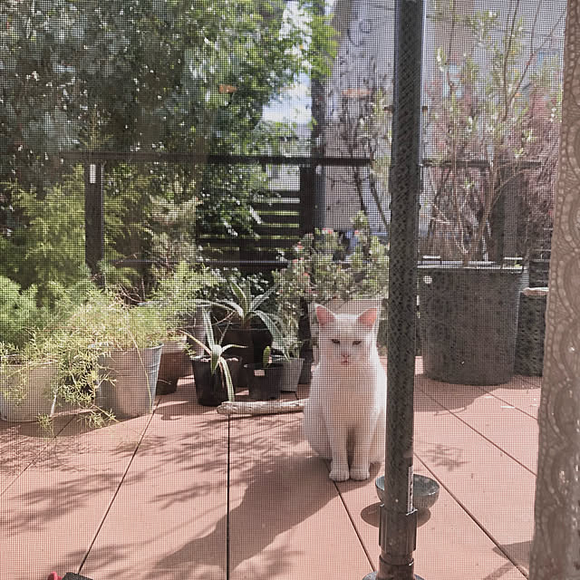 oxoxさんの実例写真