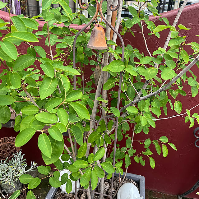 AYUKOさんの部屋