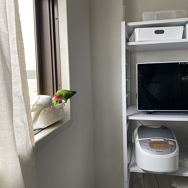 toratanさんの実例写真