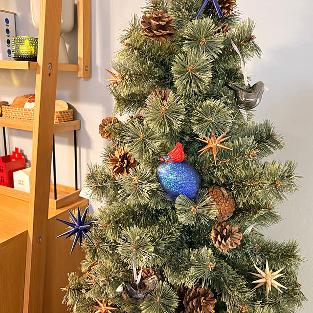 tantanmaruさんの部屋