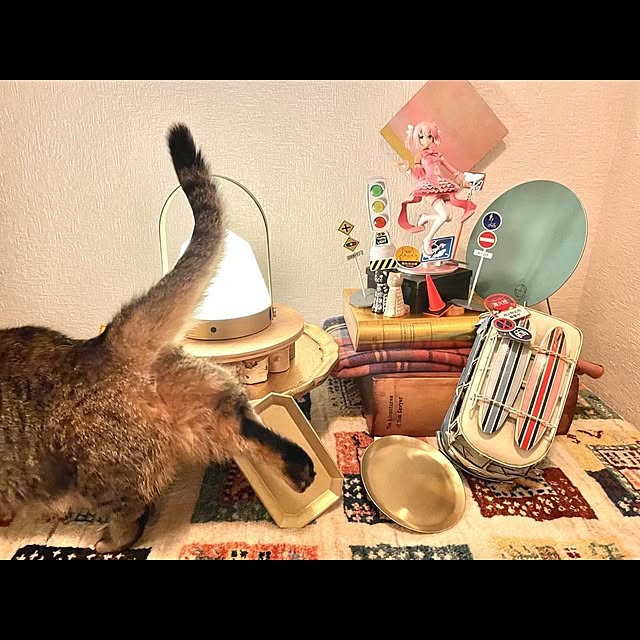 kajikissaさんの実例写真