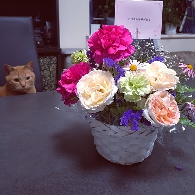 NOAHさんの実例写真