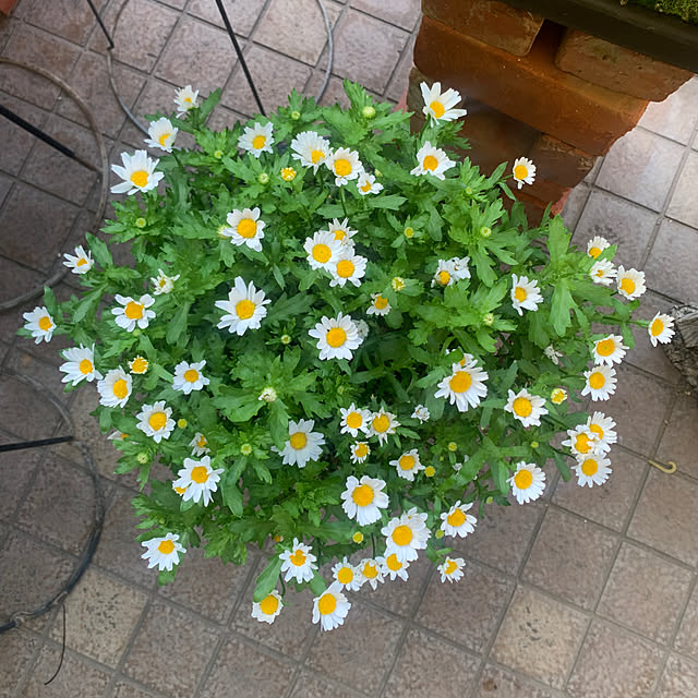 Aqettyさんの部屋