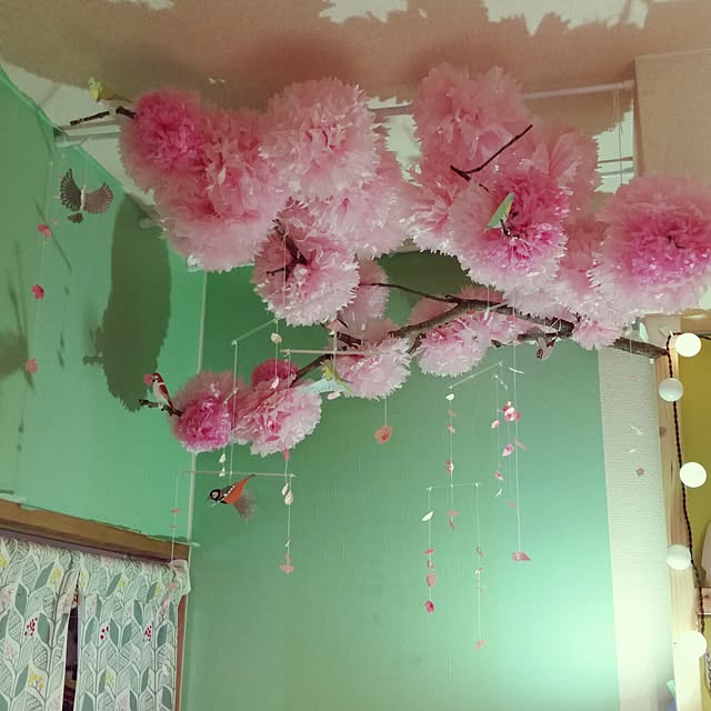 Satomiさんの実例写真