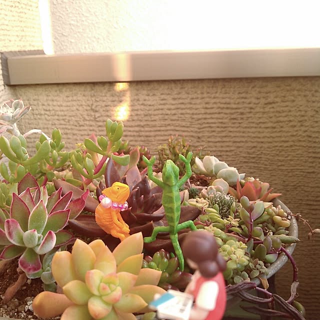 akr29さんの実例写真