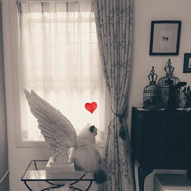 yuchiさんの実例写真