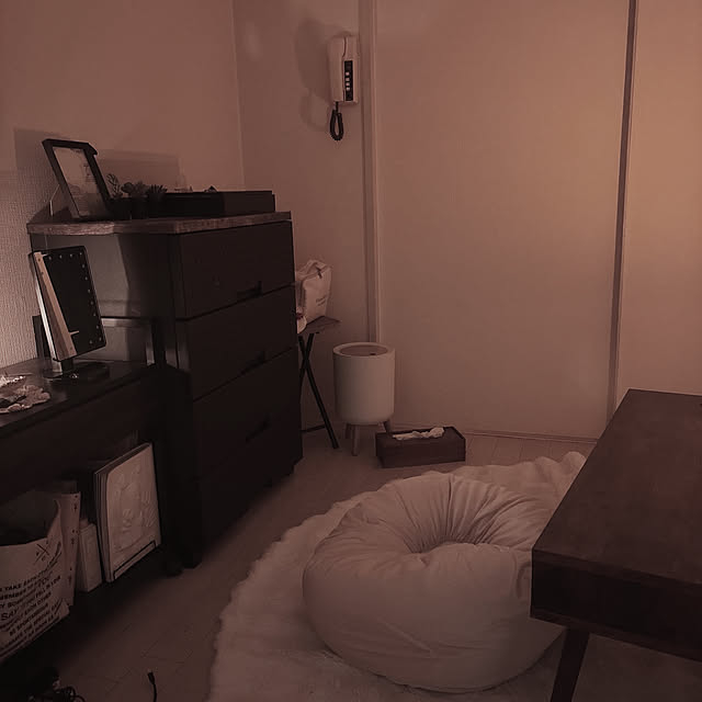 USAGiNさんの実例写真