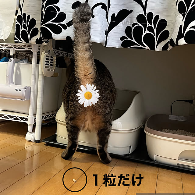 yukarin-gardenさんの部屋