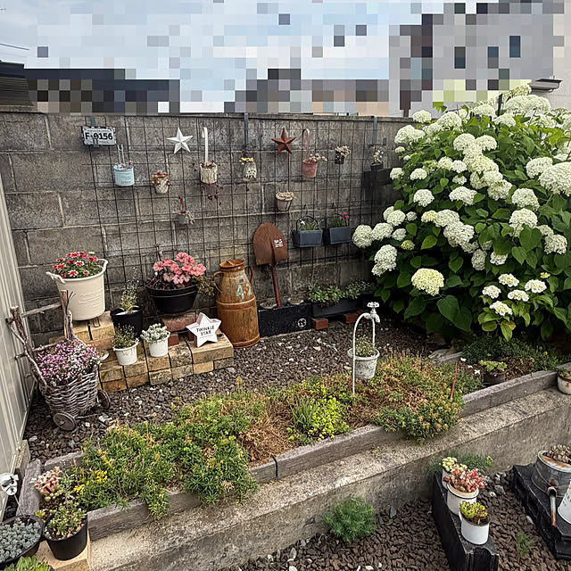 ikt.tamaさんの部屋