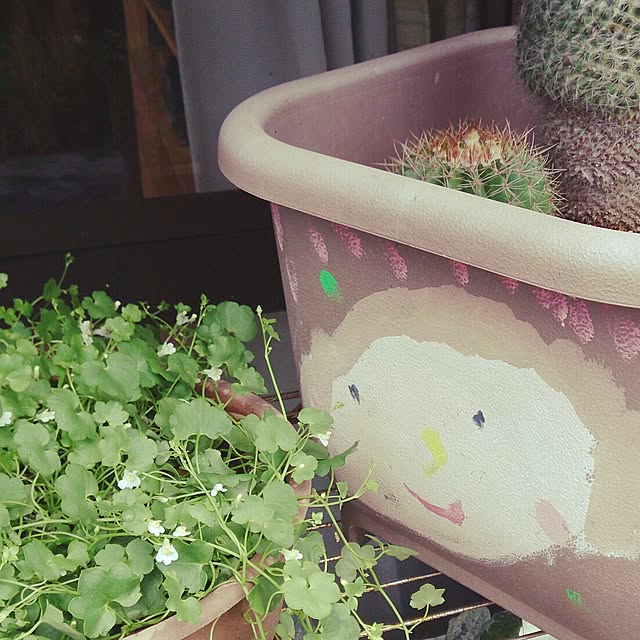 kikuさんの実例写真