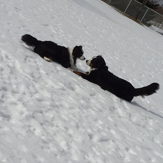 sasaさんの実例写真