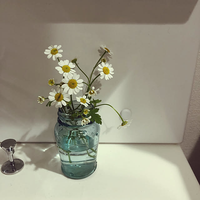 nicoさんの実例写真