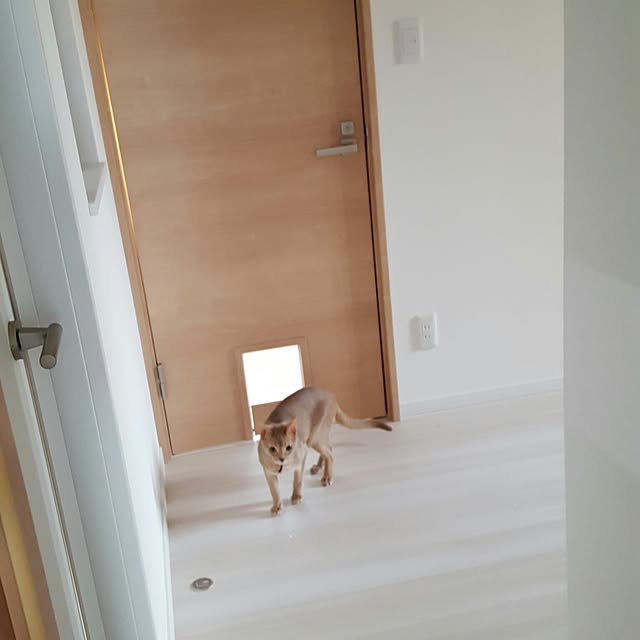 megu.catさんの実例写真