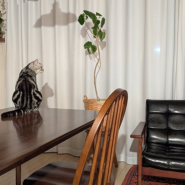 lovepeaceさんの部屋