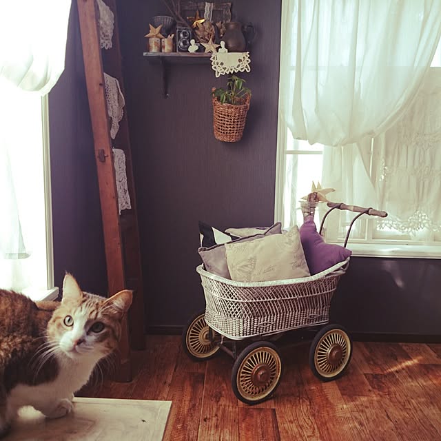 pomponelaさんの実例写真