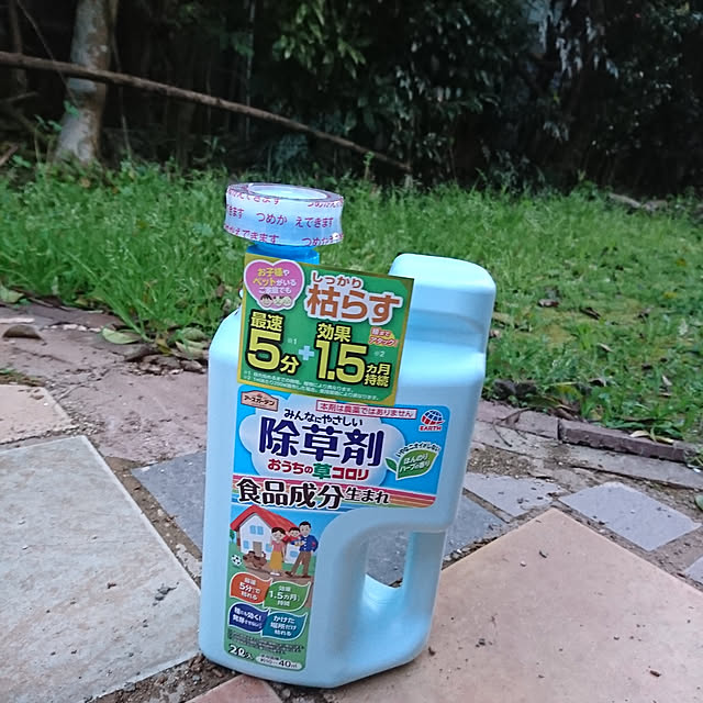 kimi613さんの実例写真