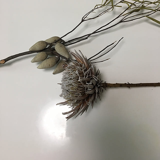 sanw2225719さんの実例写真