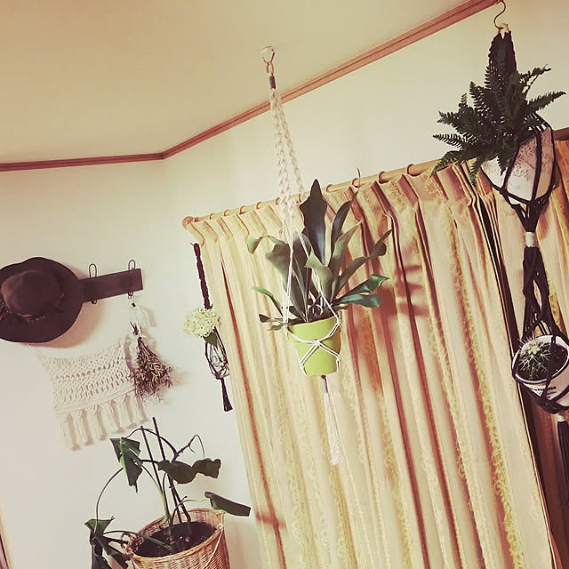 hums_fringeさんの実例写真