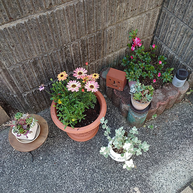 fukuさんの実例写真