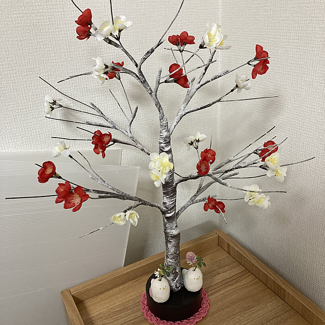 koroさんの実例写真