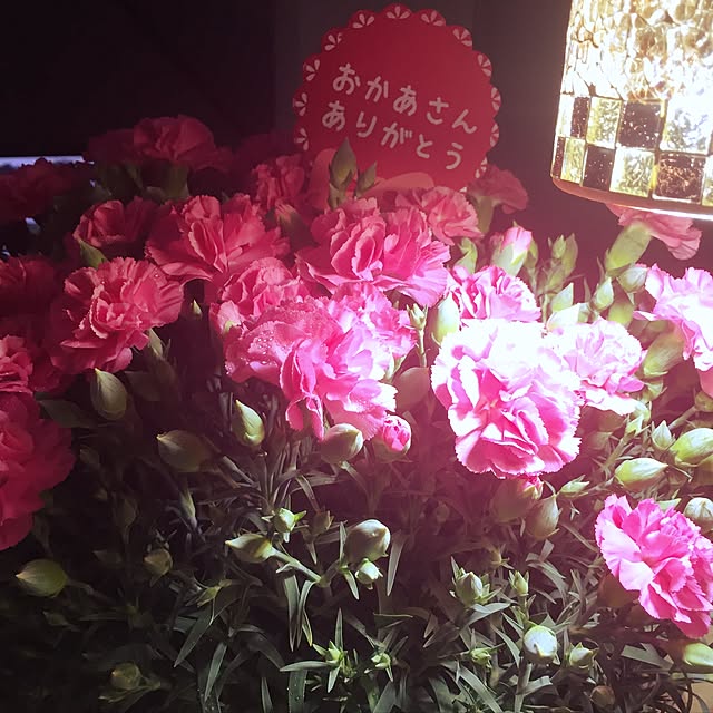 satukori0204さんの実例写真