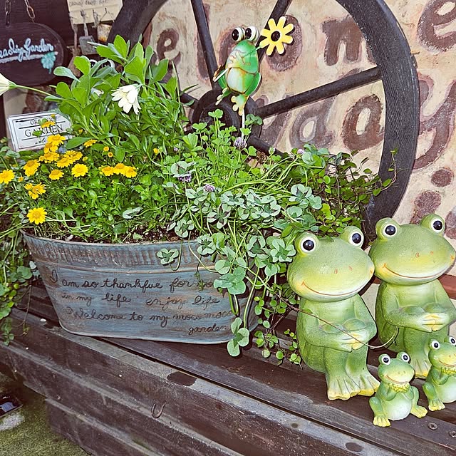 mocomocoさんの部屋