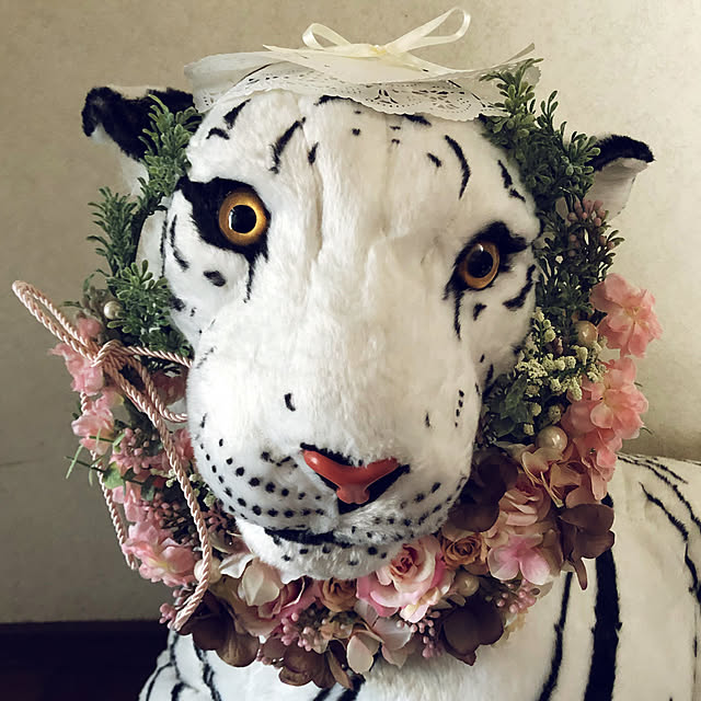maikoさんの実例写真
