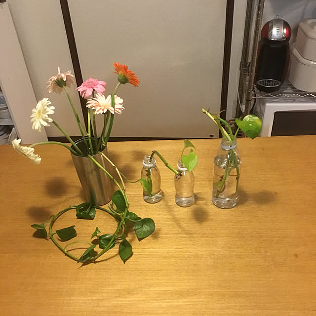 tamaさんの実例写真
