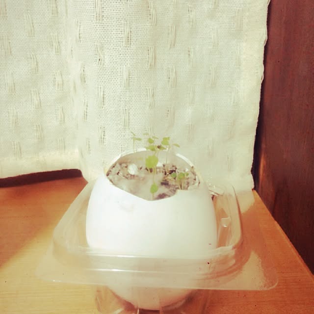 yuuuusukeさんの実例写真