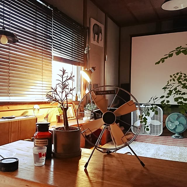 kippeiさんの実例写真