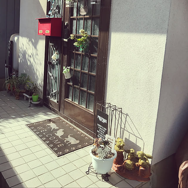 minaaisukiさんの実例写真