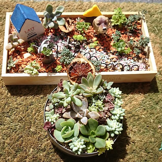 cocomilkさんの実例写真