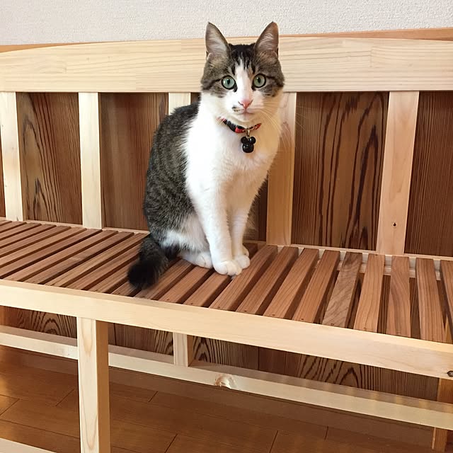 amigeeeeさんの実例写真