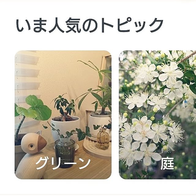 tan5さんの実例写真