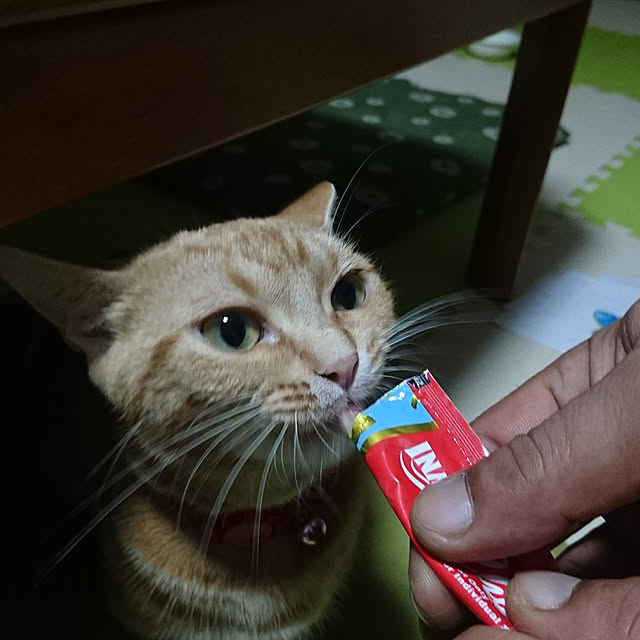 shinobuさんの実例写真