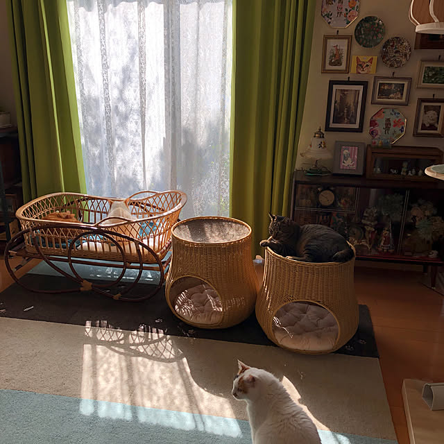junbuさんの実例写真