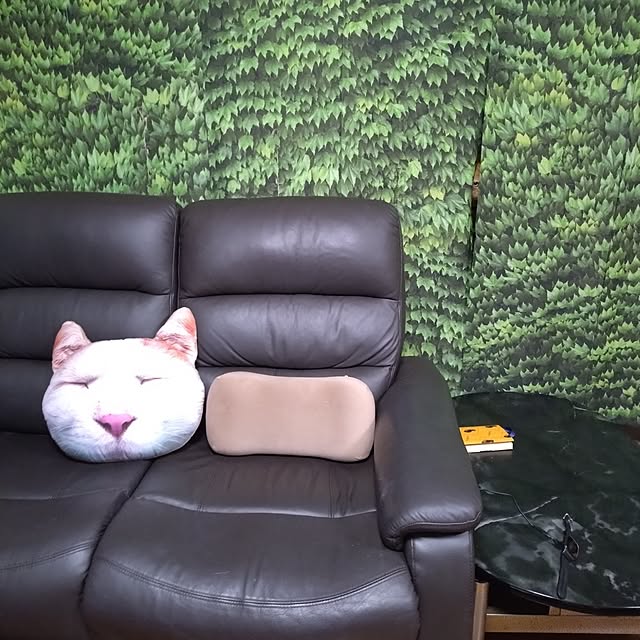 NOAHさんの実例写真