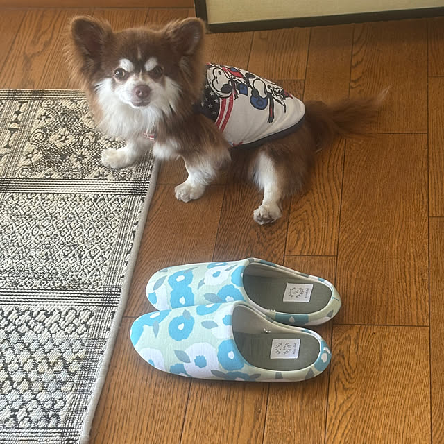 chIoeさんの部屋