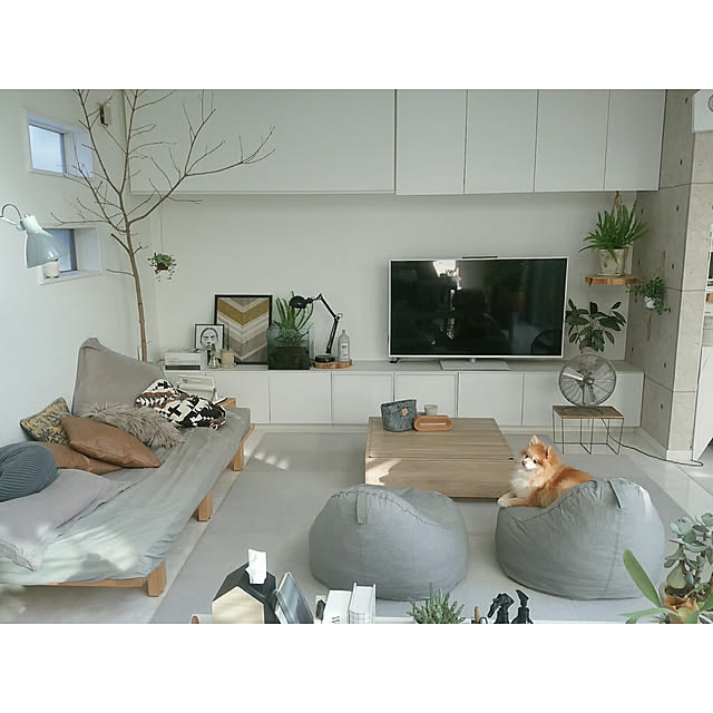 mi-さんの実例写真