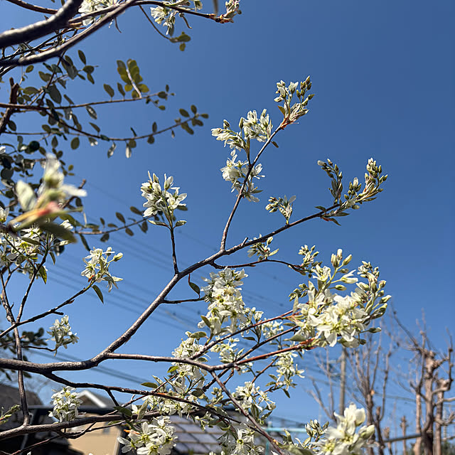 ronronさんの部屋