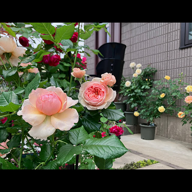 tinkunさんの実例写真