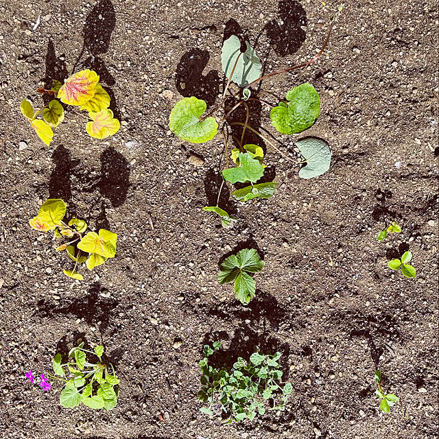 usagiさんの部屋