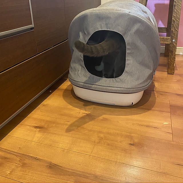 poniさんの実例写真