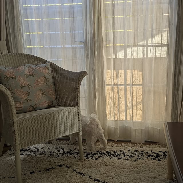 rikaさんの部屋