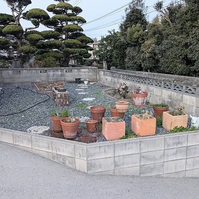 PEROさんの実例写真