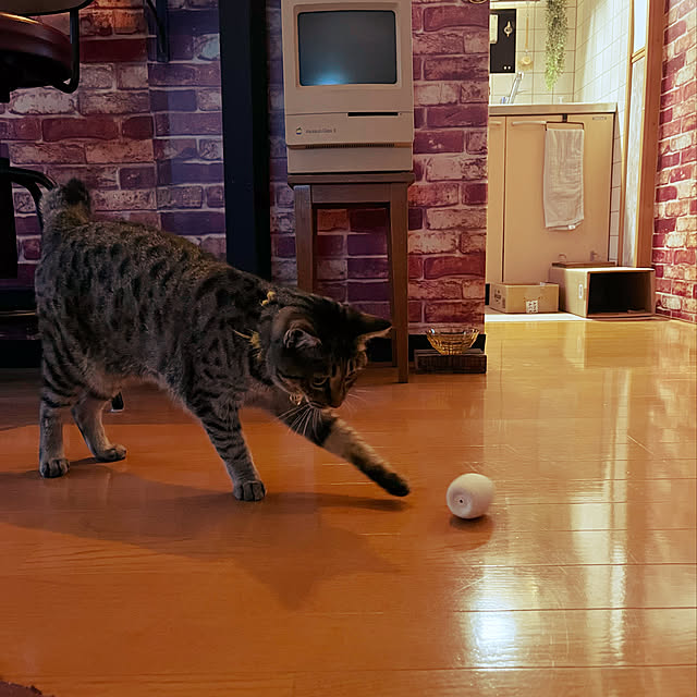 Mさんの実例写真