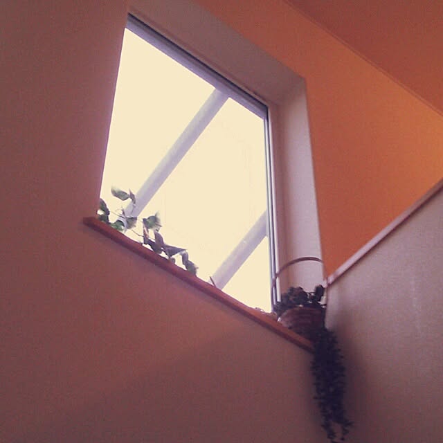 ayuminさんの実例写真