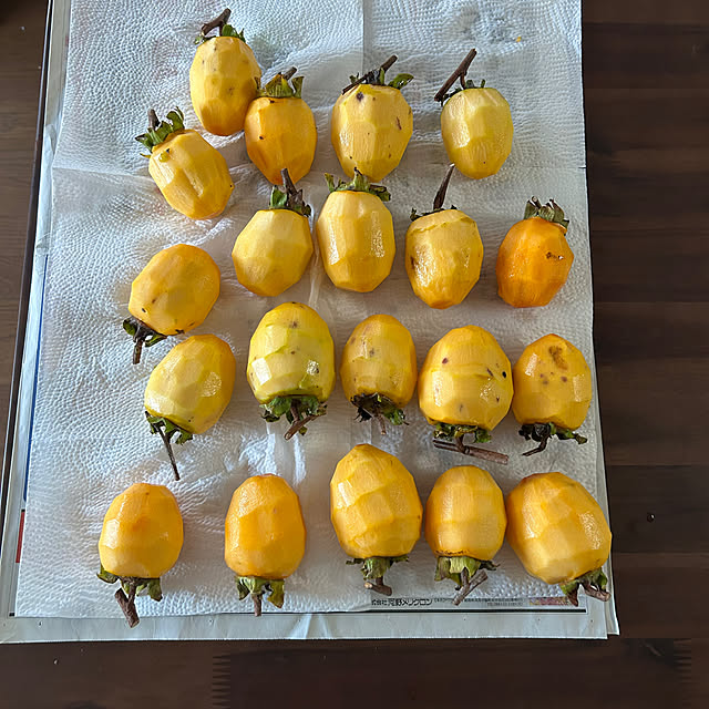 ritsukoさんの部屋